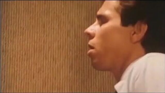 El mosquito calenton